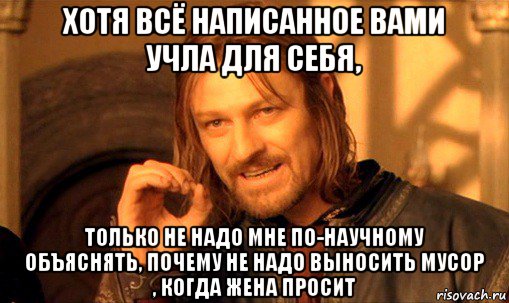 хотя всё написанное вами учла для себя, только не надо мне по-научному объяснять, почему не надо выносить мусор , когда жена просит, Мем Нельзя просто так взять и (Боромир мем)