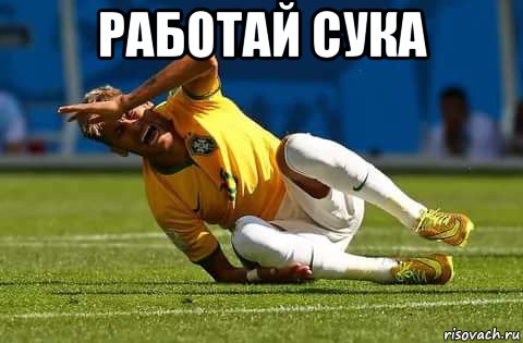 работай сука 