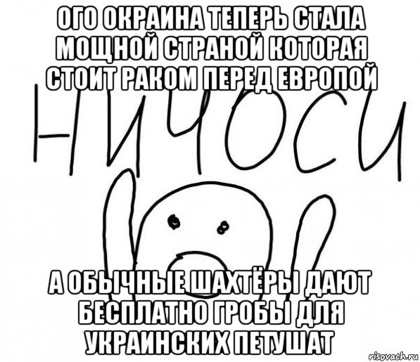 ого окраина теперь стала мощной страной которая стоит раком перед европой а обычные шахтёры дают бесплатно гробы для украинских петушат, Мем  Ничоси