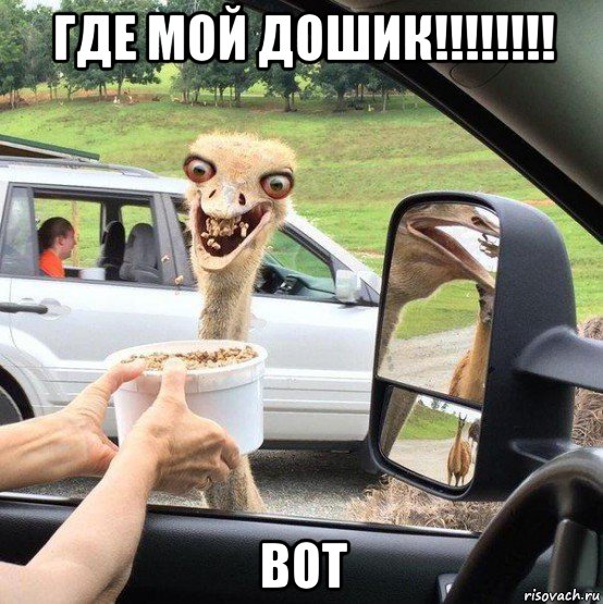 где мой дошик!!!!!!!! вот, Мем О да сухарики