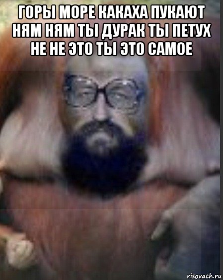 горы море какаха пукают ням ням ты дурак ты петух не не это ты это самое , Мем Обезьяна чи чи чи