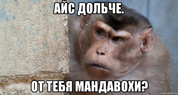айс дольче. от тебя мандавохи?