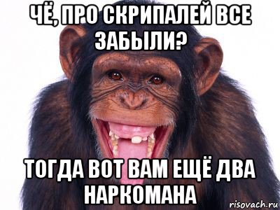 чё, про скрипалей все забыли? тогда вот вам ещё два наркомана