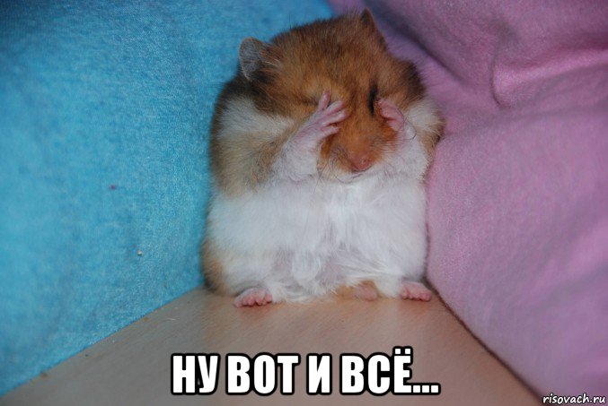  ну вот и всё..., Мем Обиженный  на эволюцию хомяк