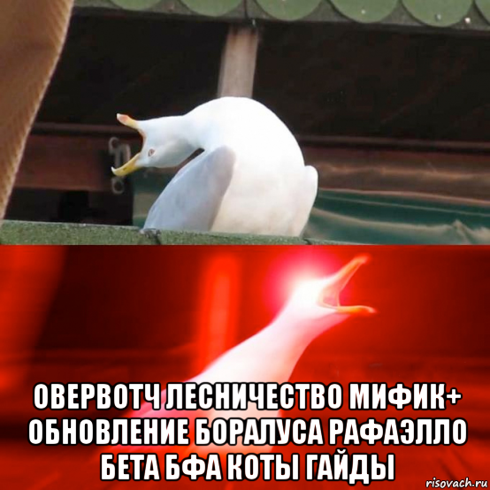  овервотч лесничество мифик+ обновление боралуса рафаэлло бета бфа коты гайды