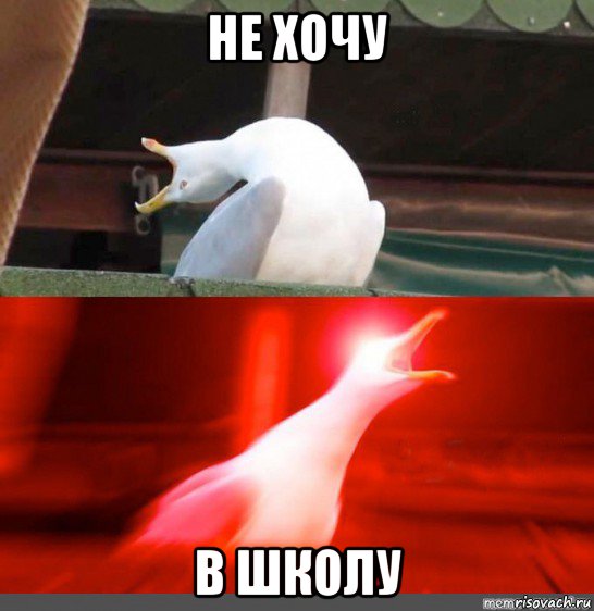 не хочу в школу