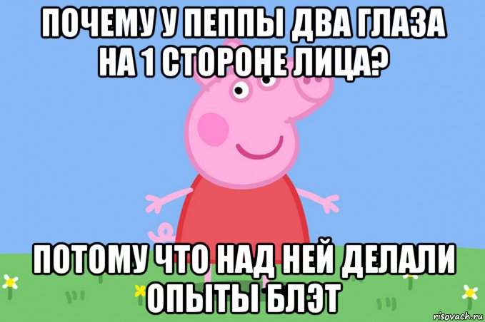 почему у пеппы два глаза на 1 стороне лица? потому что над ней делали опыты блэт, Мем Пеппа