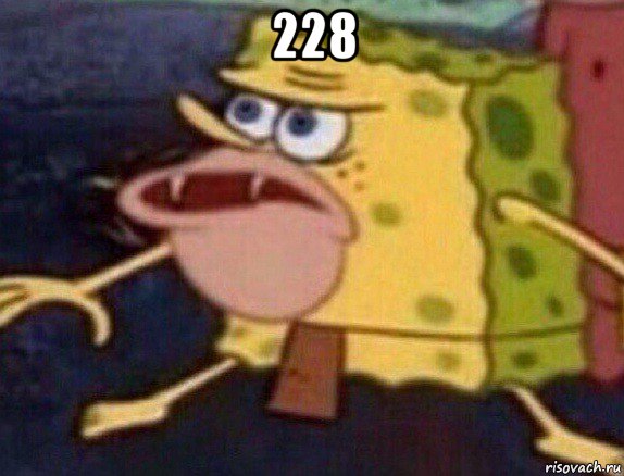 228 