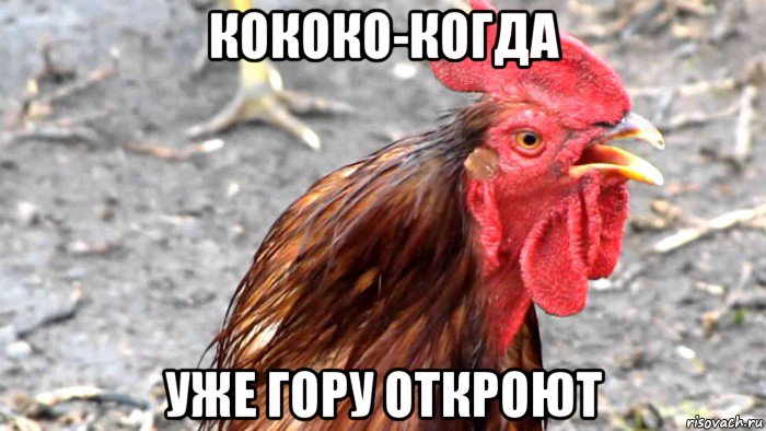 кококо-когда уже гору откроют