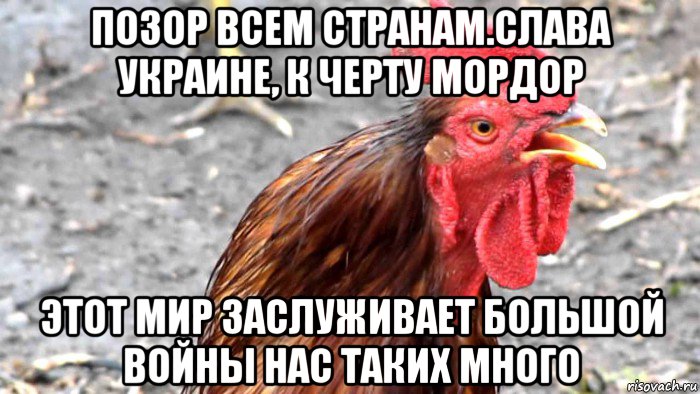 позор всем странам.слава украине, к черту мордор этот мир заслуживает большой войны нас таких много