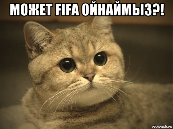 может fifa ойнаймыз?! 