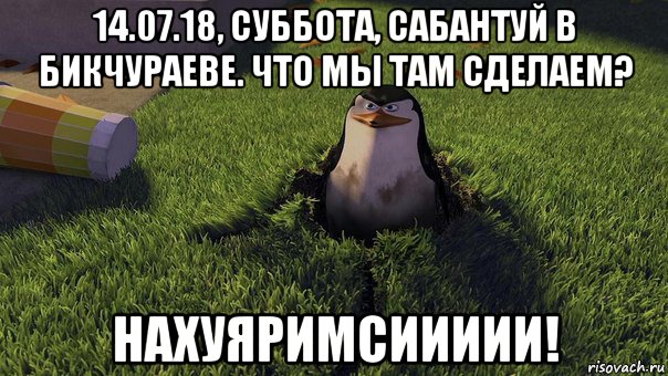 14.07.18, суббота, сабантуй в бикчураеве. что мы там сделаем? нахуяримсиииии!