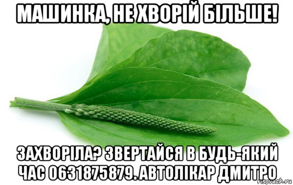 машинка, не хворій більше! захворіла? звертайся в будь-який час 0631875879. автолікар дмитро