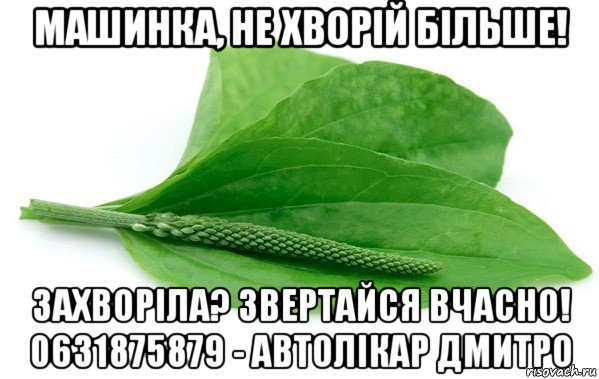 машинка, не хворій більше! захворіла? звертайся вчасно! 0631875879 - автолікар дмитро