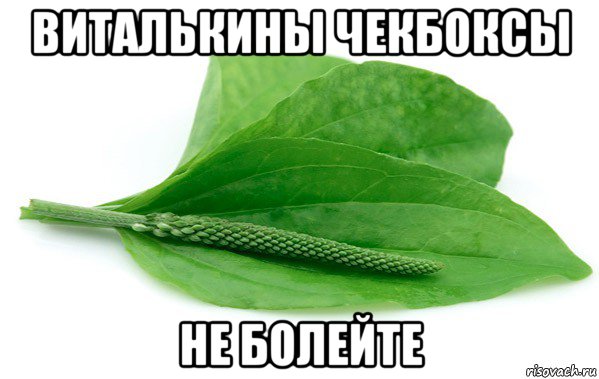 виталькины чекбоксы не болейте