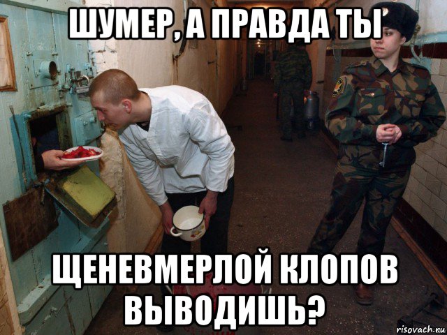 шумер, а правда ты щеневмерлой клопов выводишь?