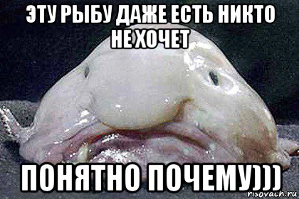 эту рыбу даже есть никто не хочет понятно почему))), Мем Рыба-капля
