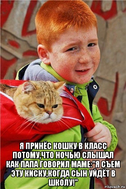  я принёс кошку в класс потому,что ночью слышал как папа говорил маме:"я съем эту киску,когда сын уйдёт в школу!", Мем Рыжий мальчик с кошкой