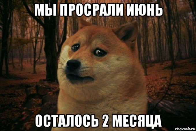 мы просрали июнь осталось 2 месяца, Мем SAD DOGE