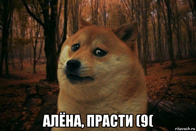  алёна, прасти (9(, Мем SAD DOGE