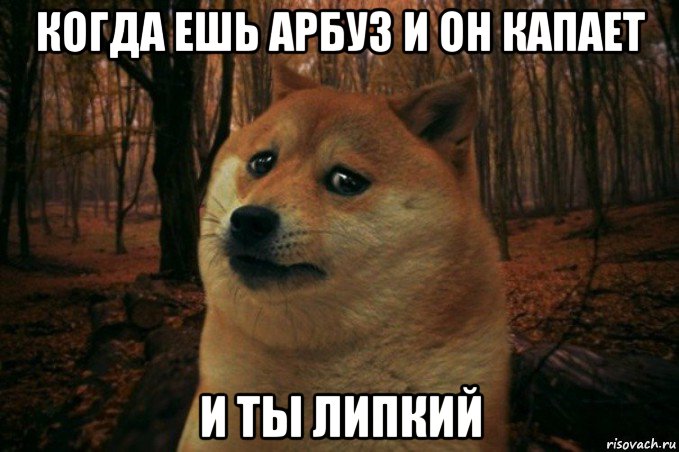 когда ешь арбуз и он капает и ты липкий, Мем SAD DOGE