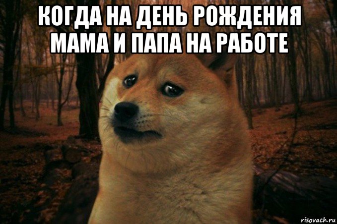 когда на день рождения мама и папа на работе , Мем SAD DOGE