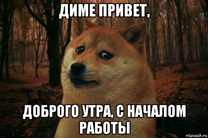 диме привет, доброго утра, с началом работы, Мем SAD DOGE