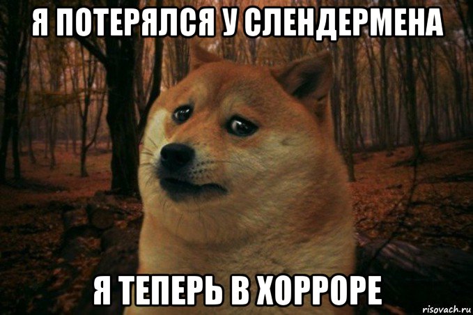 я потерялся у слендермена я теперь в хорроре, Мем SAD DOGE