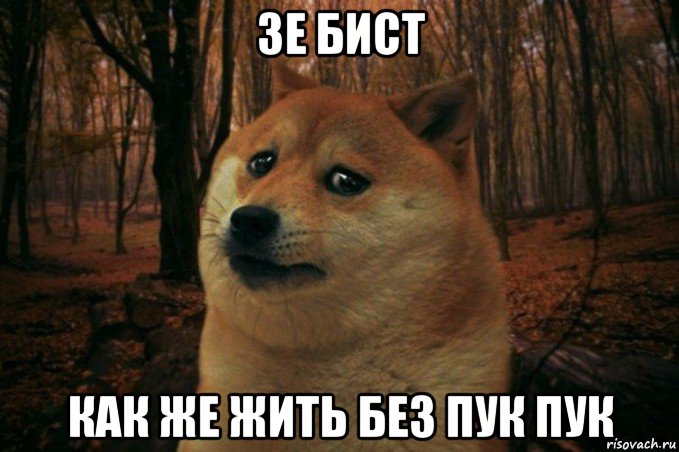 зе бист как же жить без пук пук, Мем SAD DOGE