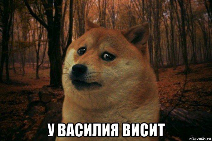  у василия висит, Мем SAD DOGE