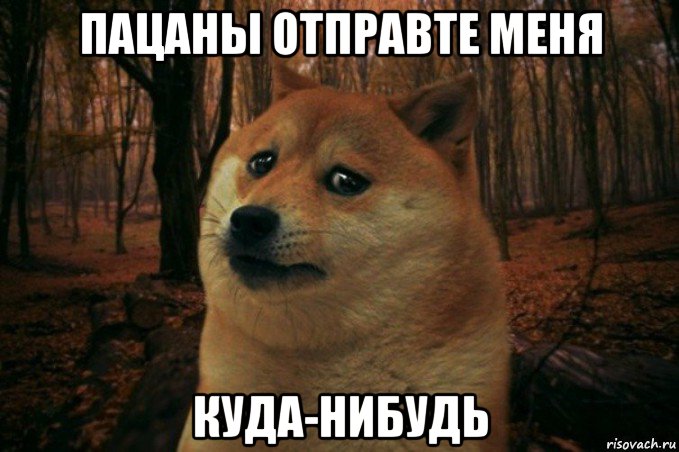 пацаны отправте меня куда-нибудь, Мем SAD DOGE