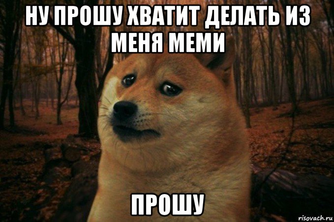 ну прошу хватит делать из меня меми прошу, Мем SAD DOGE