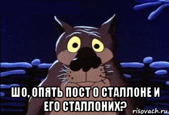  шо, опять пост о сталлоне и его сталлоних?