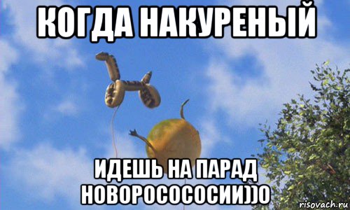когда накуреный идешь на парад новоросососии))0, Мем Шрек лягушка змея