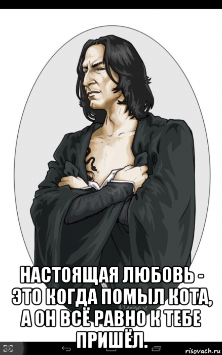  настоящая любовь - это когда помыл кота, а он всё равно к тебе пришёл.