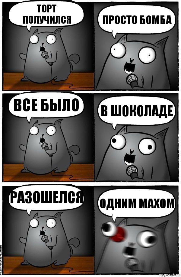 Торт получился просто БОМБА  все было   В ШОКОЛАДЕ Разошелся ОДНИМ МАХОМ, Комикс  Стендап-кот