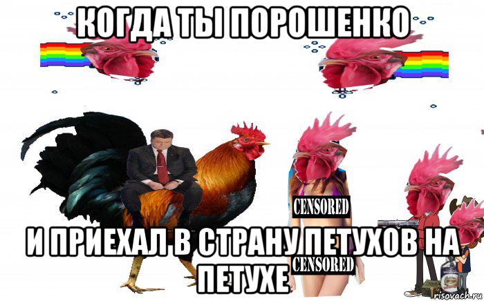 когда ты порошенко и приехал в страну петухов на петухе