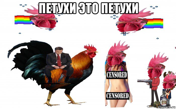 петухи это петухи 