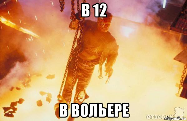 в 12 в вольере