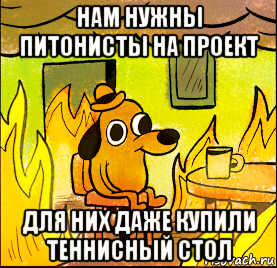 нам нужны питонисты на проект для них даже купили теннисный стол