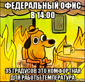 федеральный офис в 14.00 35 градусов это комфортная для работы температура