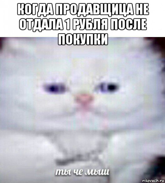 когда продавщица не отдала 1 рубля после покупки , Мем Ты че мыш