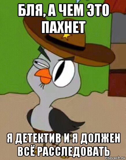 бля, а чем это пахнет я детектив и я должен всё расследовать, Мем    Упоротая сова