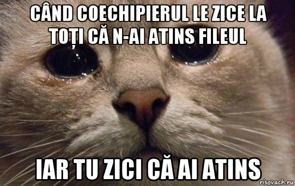 când coechipierul le zice la toţi că n-ai atins fileul iar tu zici că ai atins, Мем   В мире грустит один котик