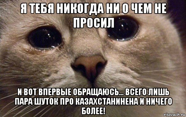 я тебя никогда ни о чем не просил и вот впервые обращаюсь... всего лишь пара шуток про казахстанинена и ничего более!, Мем   В мире грустит один котик