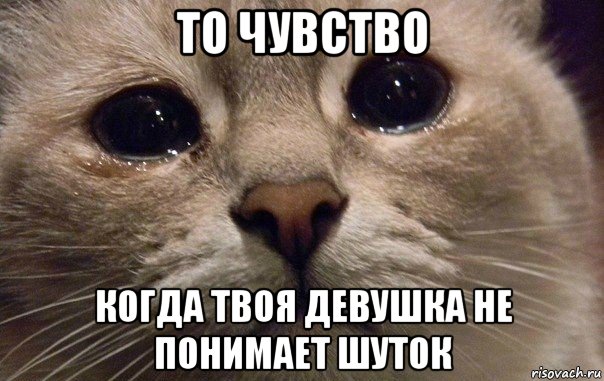 то чувство когда твоя девушка не понимает шуток