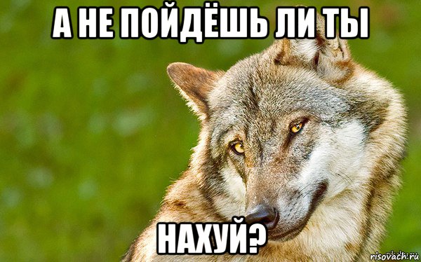 а не пойдёшь ли ты нахуй?, Мем   Volf