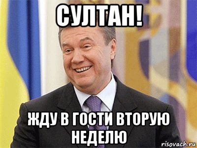 султан! жду в гости вторую неделю