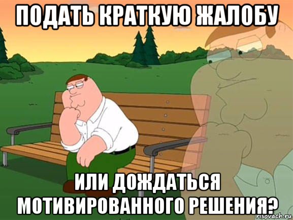 подать краткую жалобу или дождаться мотивированного решения?, Мем Задумчивый Гриффин