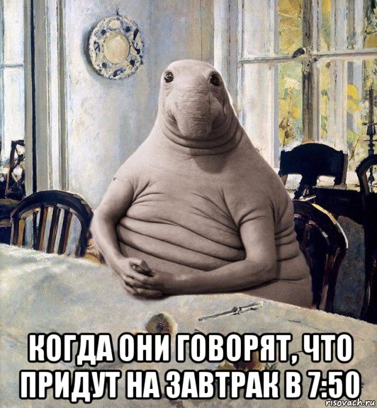  когда они говорят, что придут на завтрак в 7:50